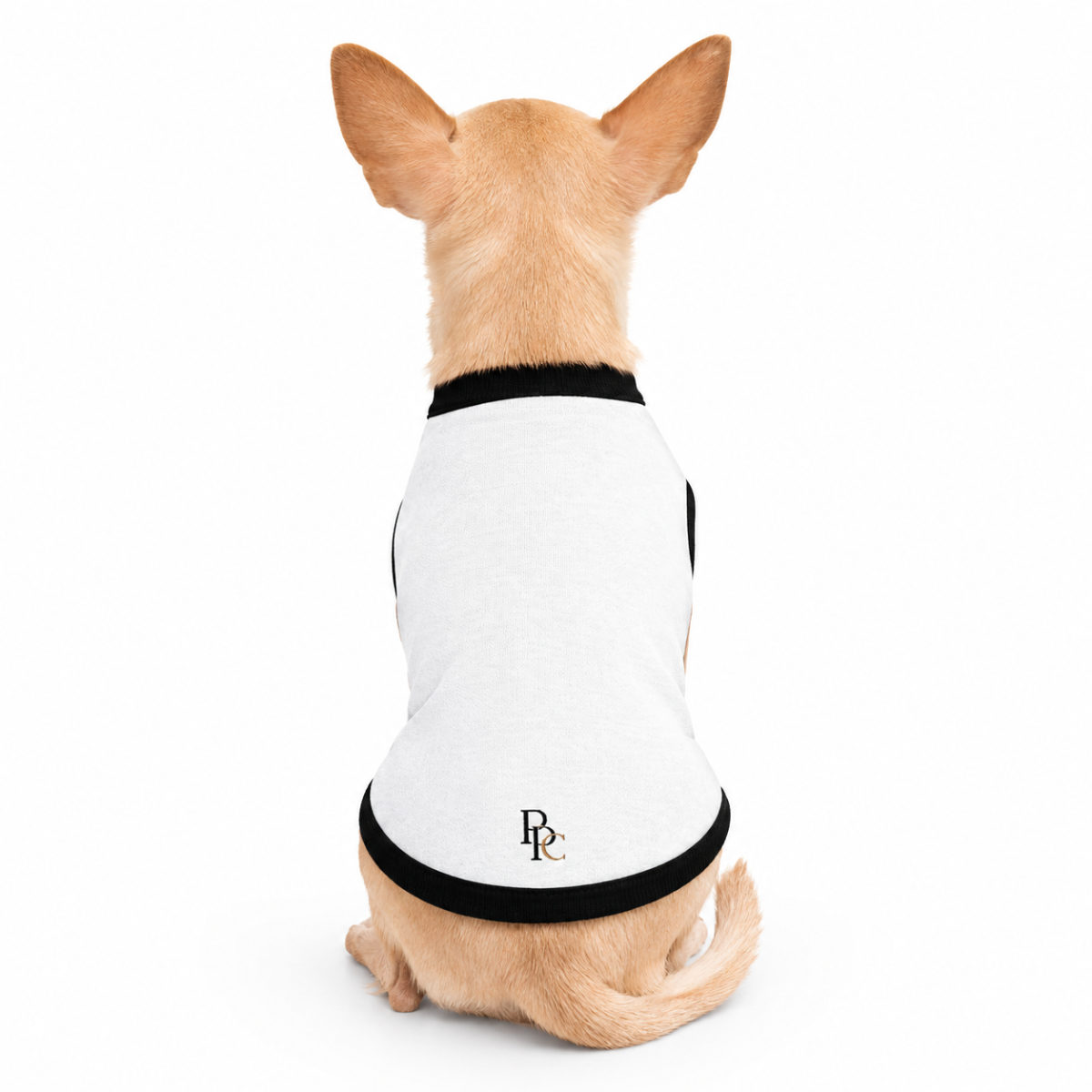 Chihuahua vu de dos portant un pull, cadeau inutile assumé